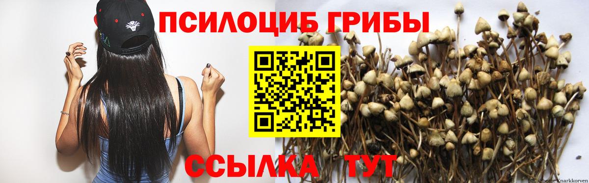 Галлюциногенные грибы MAGIC MUSHROOMS Кириши
