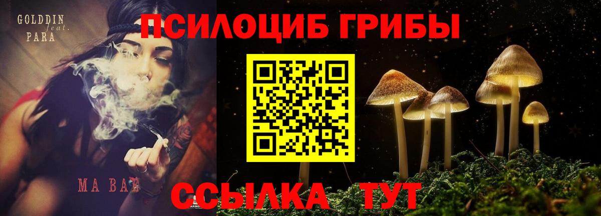 сколько стоит  Псилоцибиновые грибы прущие грибы  Вход с VPN  Кириши 